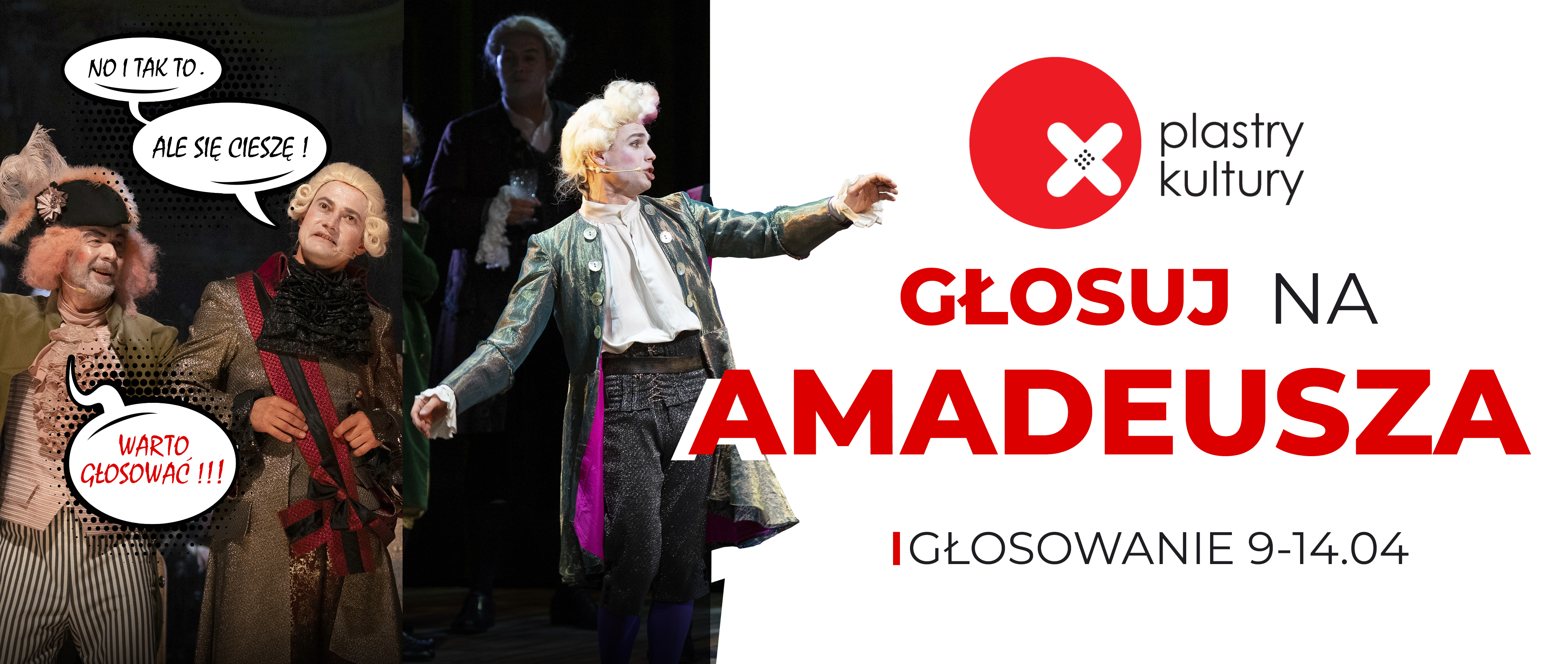 Grafika przedstawia po lewej stronie zdjęcie ze spektaklu Amadeusz na którym widnieją aktorzy Marek Nędza i Bogusław Suszka. Marek Nędza ma od buzi komiksowy dymek, w którym widnieją napisy: No i tak to! Ale się cieszę! a od drugiego aktora odchodzi dymek z napisem: Warto głosować! Po środku grafiki znajduje się postać Amadeusza w którego wciela się Wiktor Piechowski. Po prawej stronie jest infografika. U góry widnieje logo Plebiscytu Plastry Kultury, pod spodem napis: Głosuj na Amadeusza i niżej: Głosowanie 9-14 kwietnia