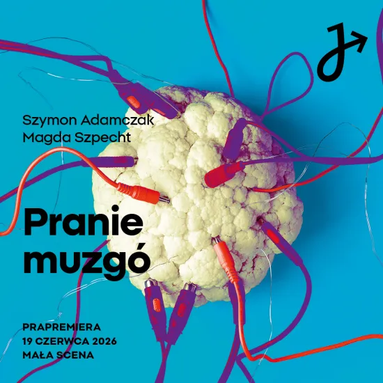 grafika na podstawie plakatu do spektaklu „Pranie muzgó”