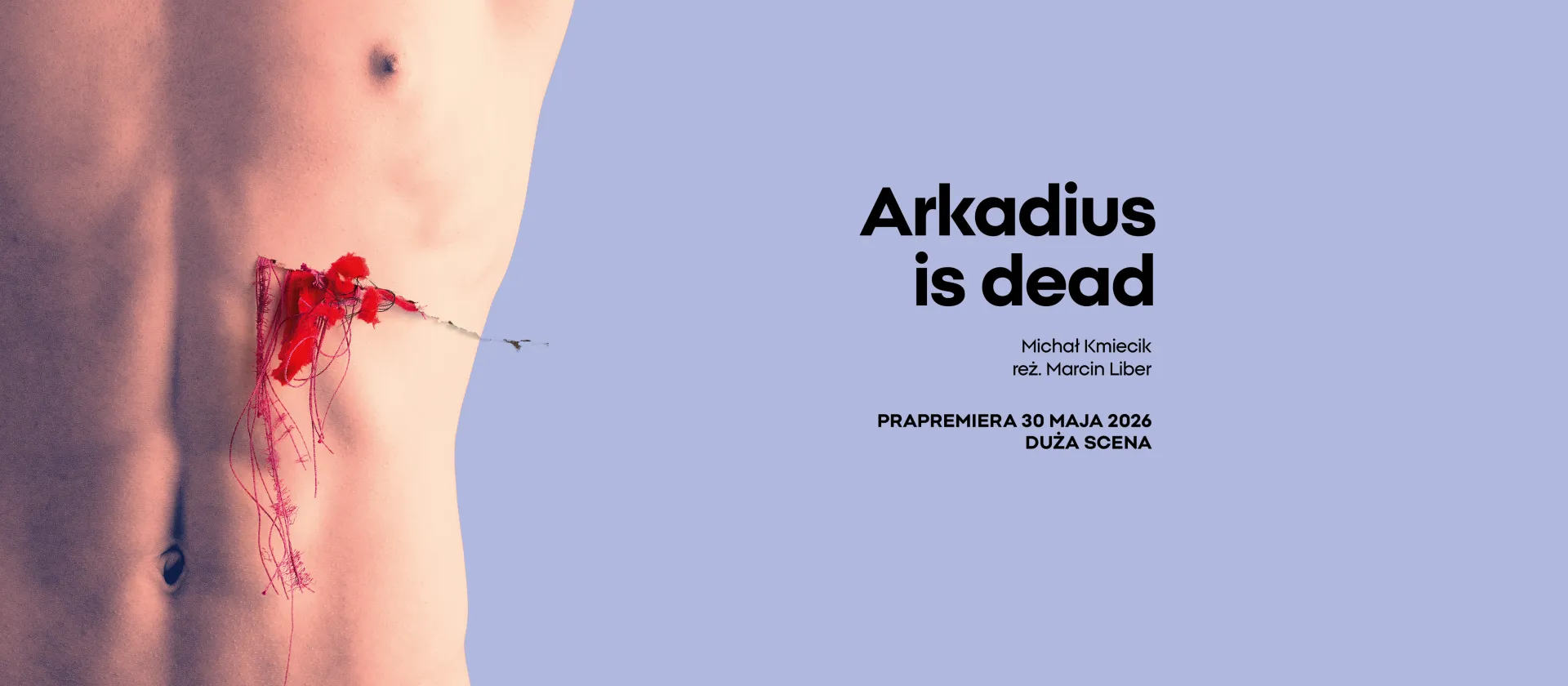 grafika do spektaklu Arkadius is dead