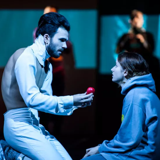 zdjęcie ze spektaklu Iwona, ksieżniczka Burgunda, fot. zdjęcie ze spektaklu Idioci, fot. Greg Noo-Wak 