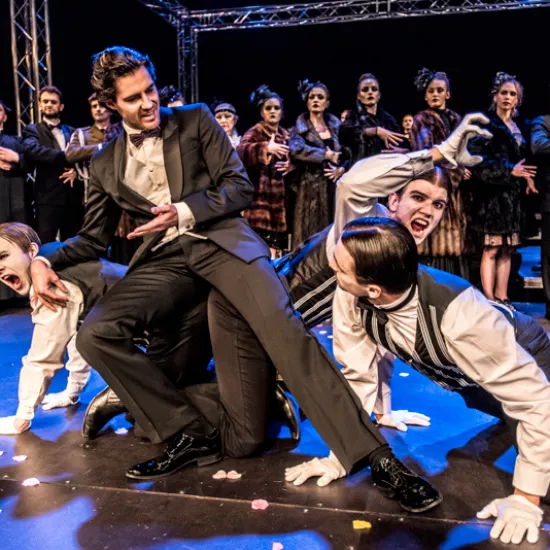  zdjęcie ze spektaklu Operetka, fot. Greg Noo-Wak 