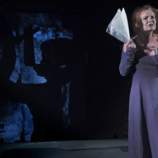 zdjęcie ze spektaklu Cień, fot.  Sergiusz Sachno 