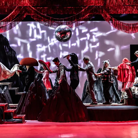 Zdjęcie ze spektaklu „Prowadź swój pług przez kości umarłych" w reżyserii Leny Frankiewicz, na scenie widzimy dwunastu aktorów w senografii przypominającej góry. Każdy z bohaterów ma przebranie. Nad sceną wisi kula dyskotekowa. Jest czerwone światło na scenie. Jest to scena balu grzybiarza. Autorką fotografii jest Natalia Kabanow